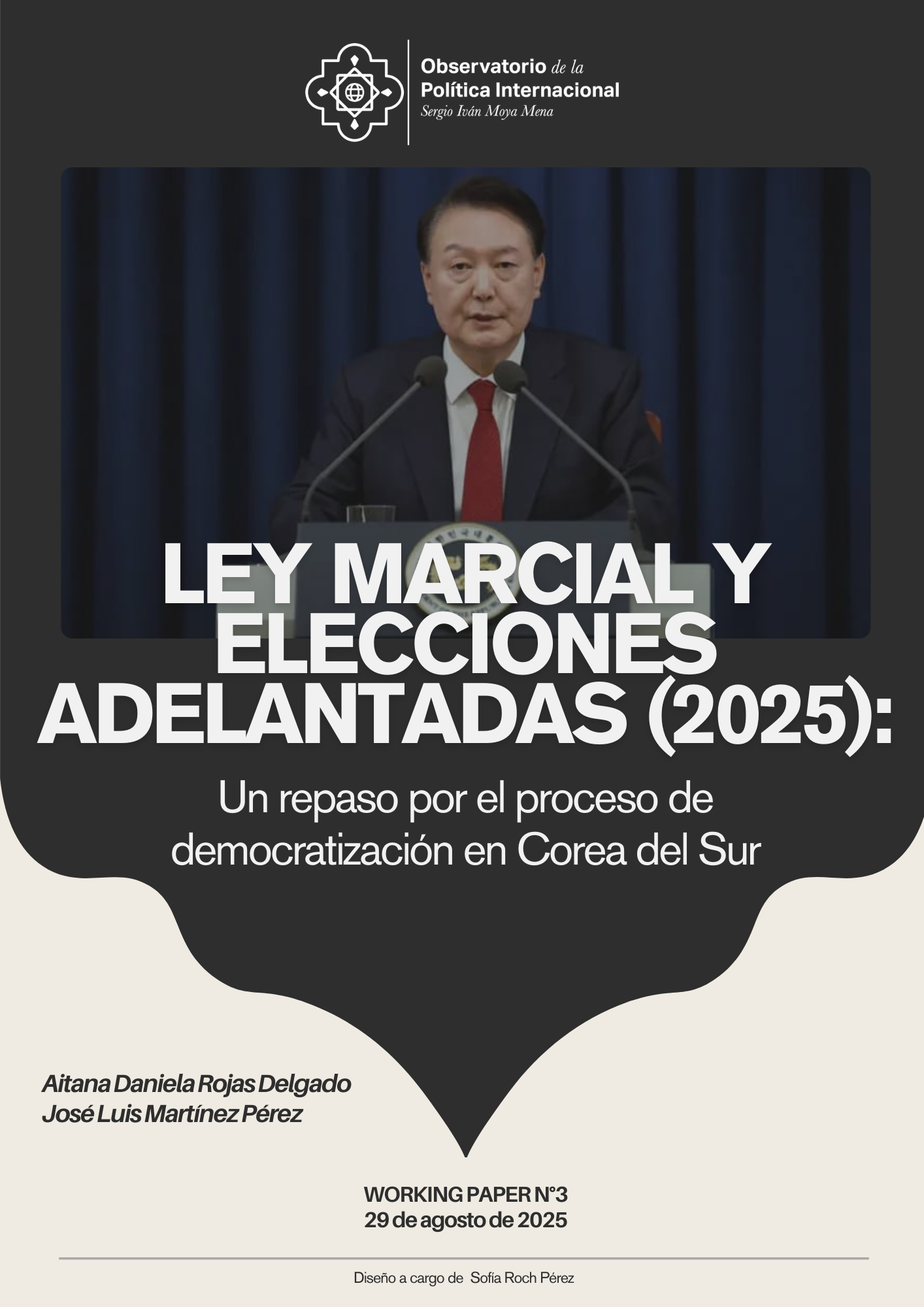 Portada del Working Paper N°3 con datos de autoría